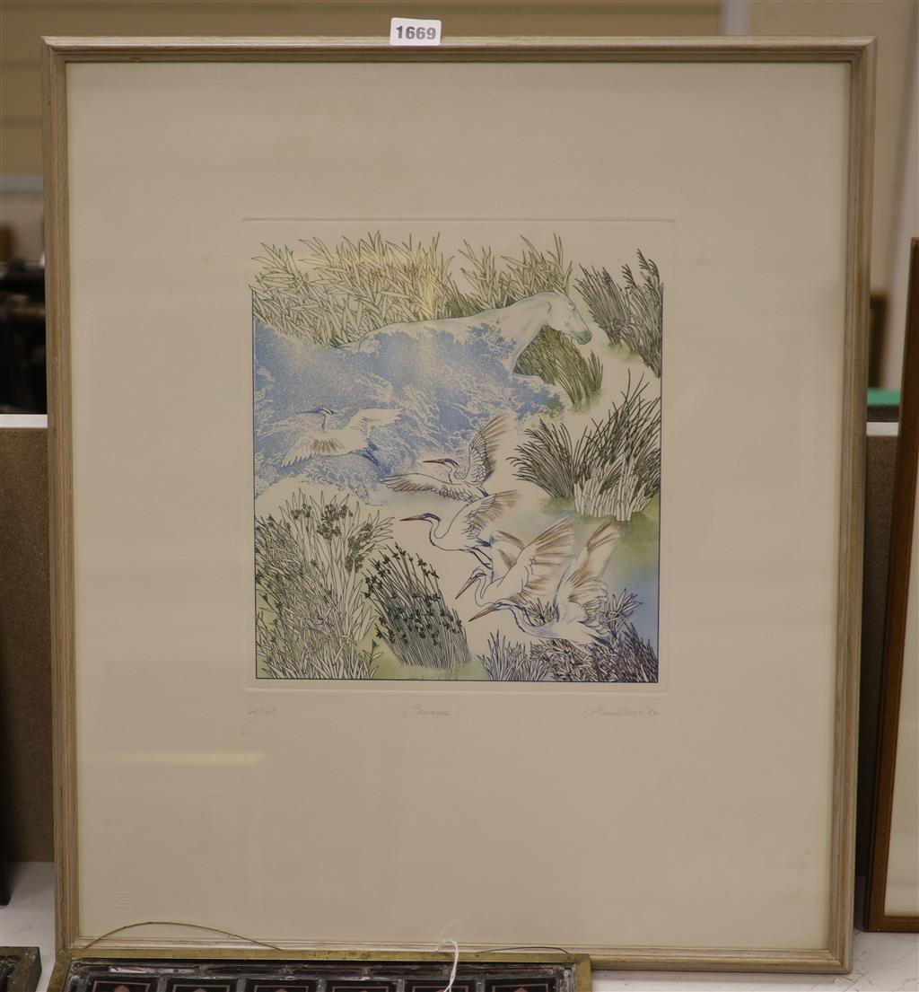 Anna Pugh, etching, Camargue I, signed in pencil, 68/150, 30 x 26cm